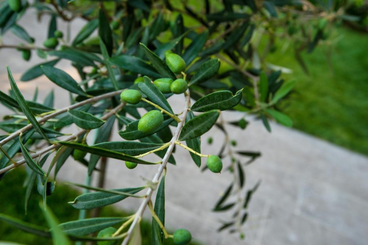 Olive 101 Peraia (Thessaloniki) Exterior foto